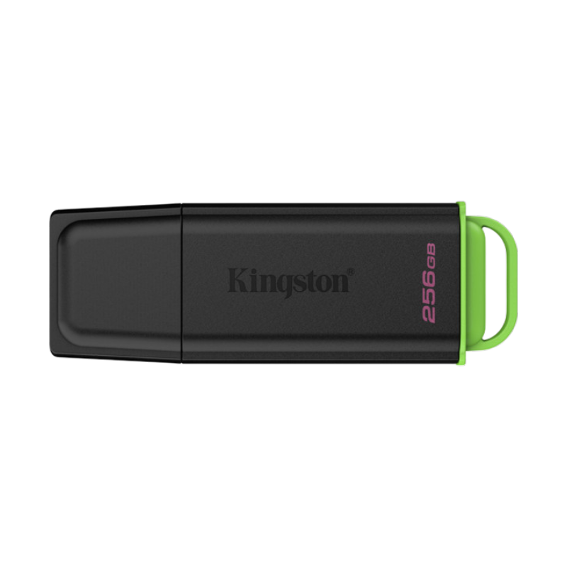 Накопичувач USB Kingston 256GB DataTraveler Exodia (DTXG2/256GB)